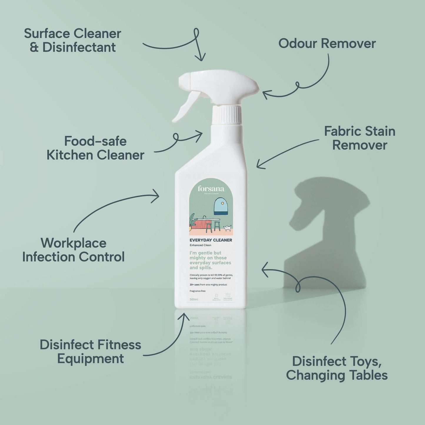 Cleaning & Plant Care Bundle