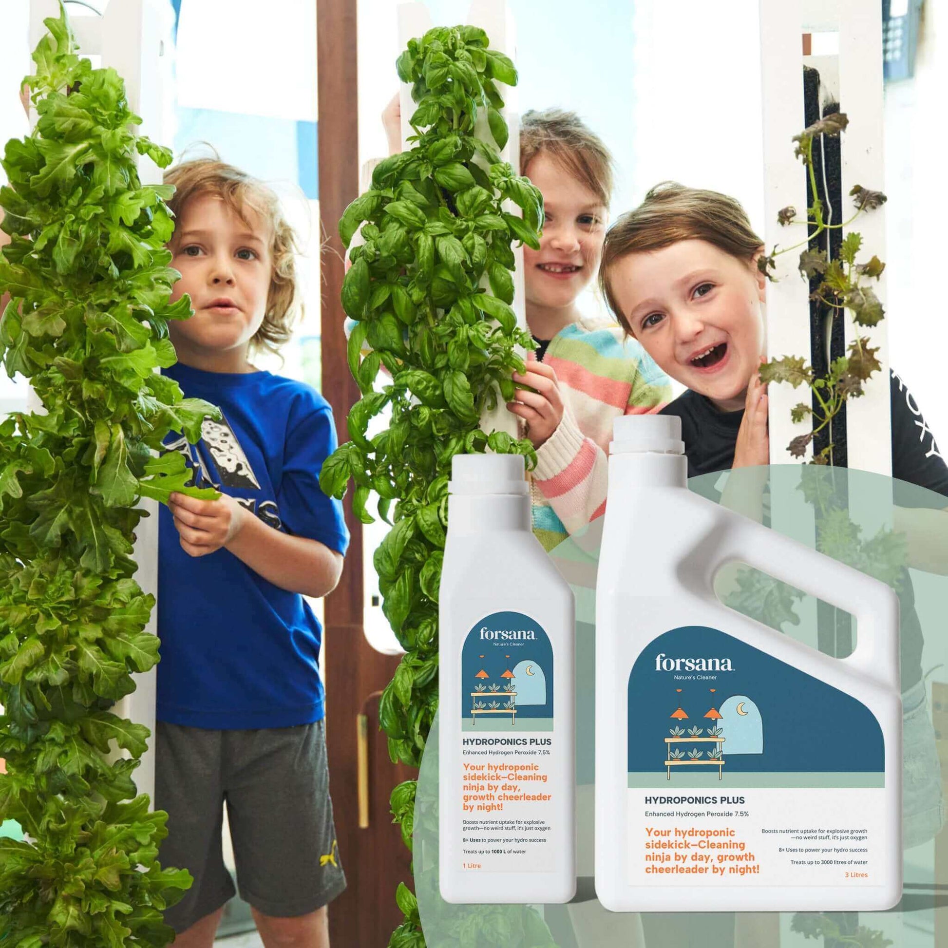 Download FREE Hydroponics Guide now