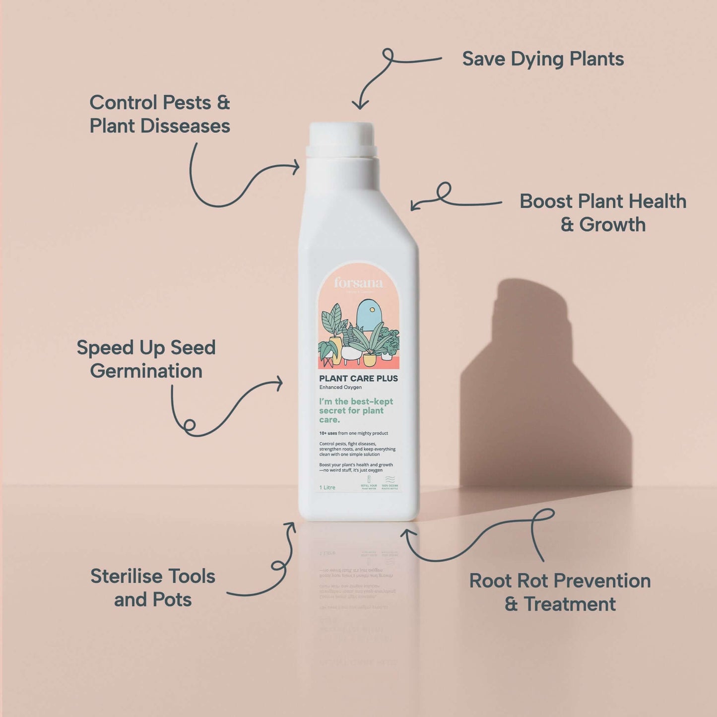 Cleaning & Plant Care Bundle