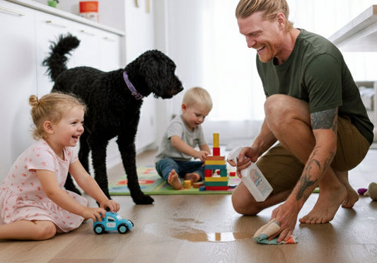 Pet Stain Remover