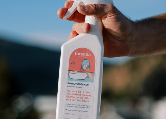 How to Replace Bleach in Your Home?