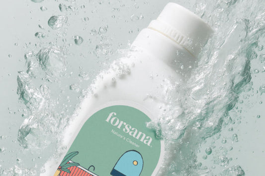 Nature's Way to a Cleaner Home