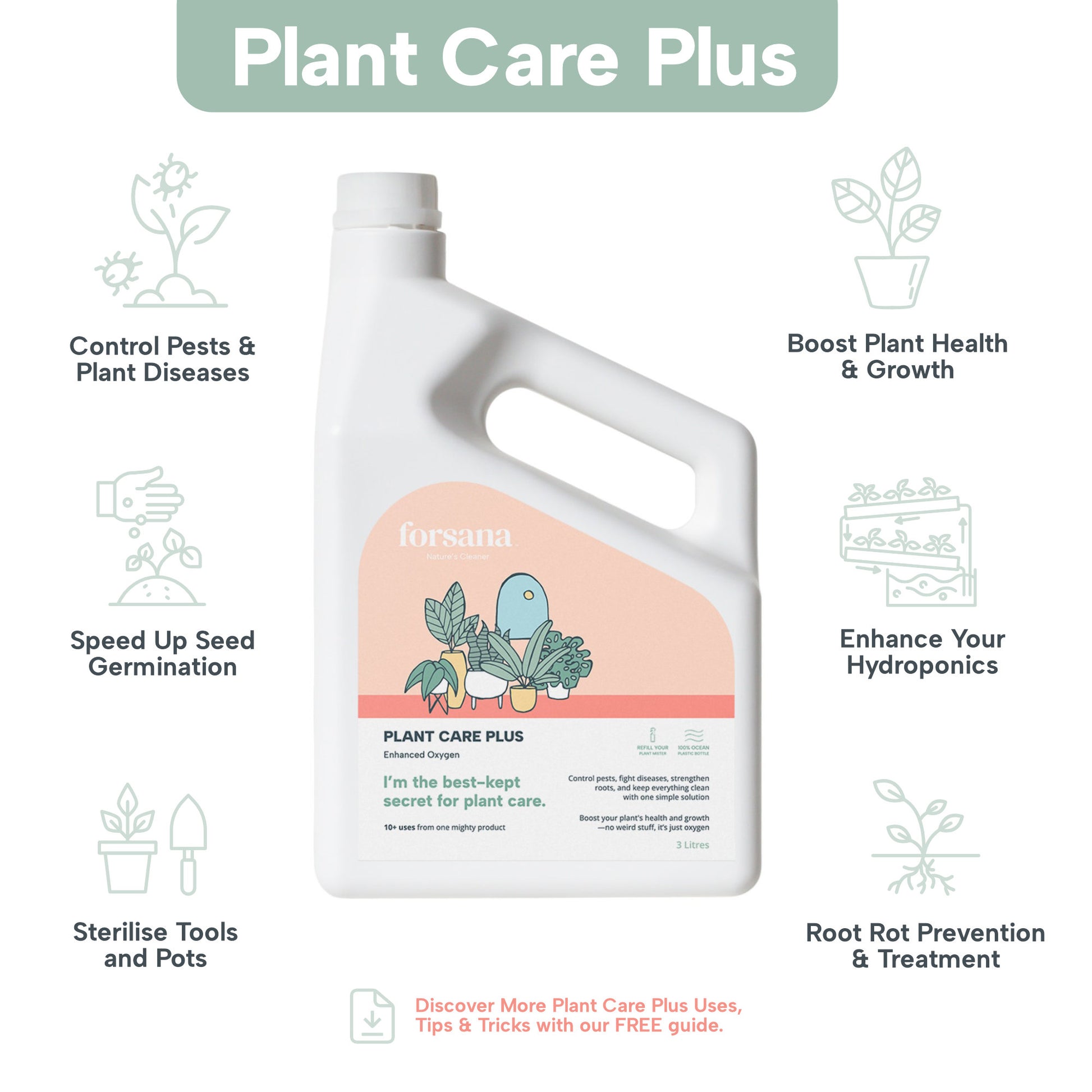 Forsana - Plant Care Plus Uses