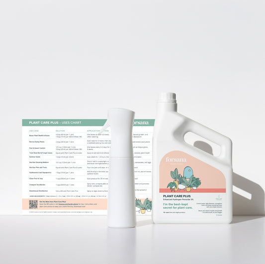 Plant Care Bundle