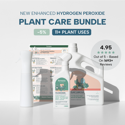 Plant Care Bundle