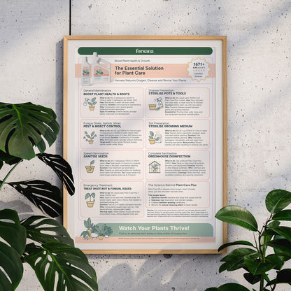 Plant Care Bundle