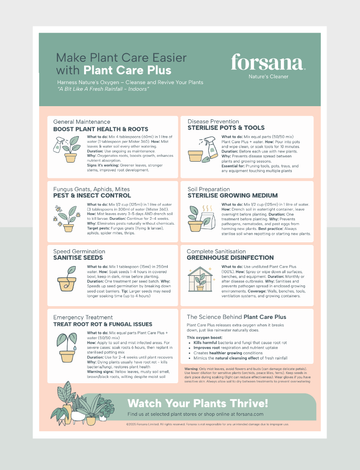 Plant Care Plus Tips, Get Your Free Guide for Healthy Plants – Forsana
